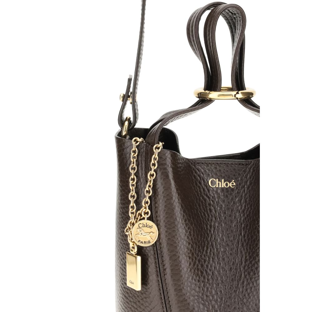 Chloé Braune Kalbsleder Bos Taurus Schultertasche