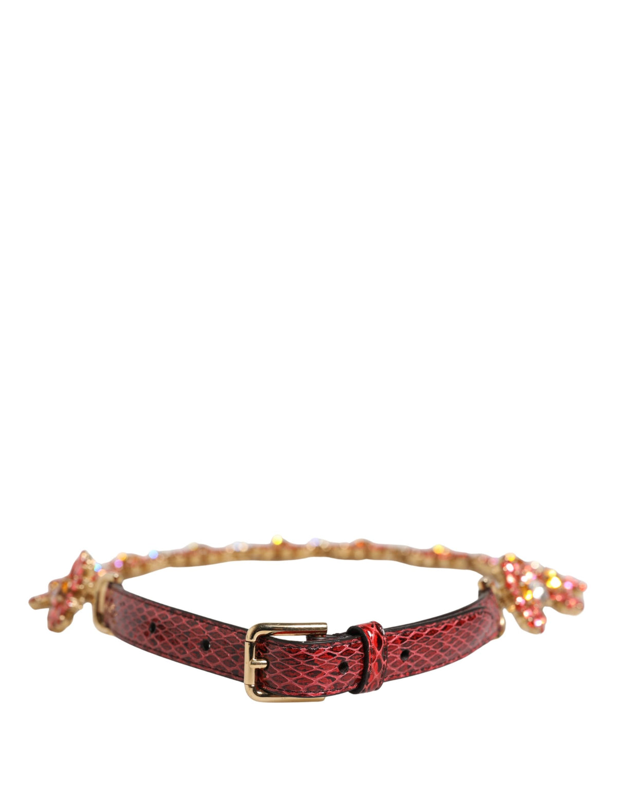 Dolce & Gabbana Red Crystal-Embellished Exotic Leather Brass Belt