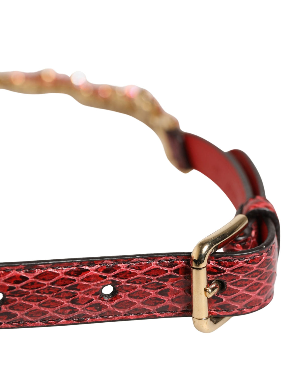Dolce & Gabbana Red Crystal-Embellished Exotic Leather Brass Belt
