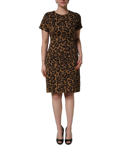 Dolce & Gabbana Braunes Leo-Jacquard-Kleid in Knielänge