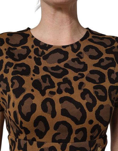 Dolce & Gabbana Braunes Leo-Jacquard-Kleid in Knielänge