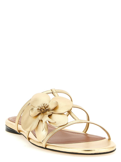 Zimmermann Goldene Leder-Slipper