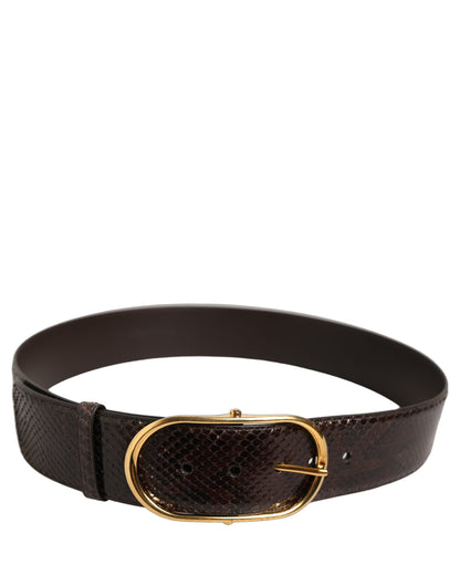 Dolce & Gabbana Brauner Pythonledergürtel mit goldener Metallschnalle