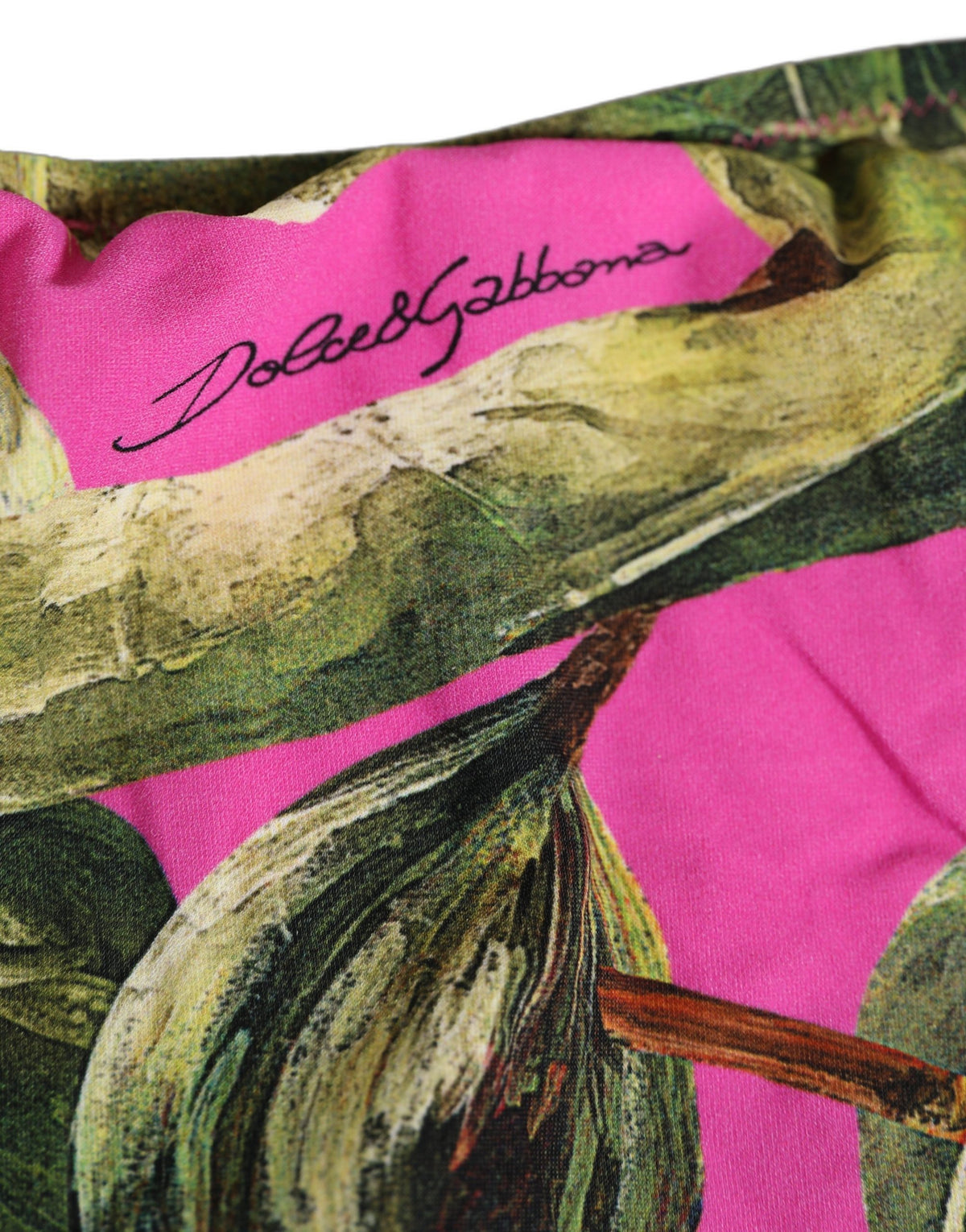 Dolce & Gabbana Fuchsia Bikinihose mit Feigenprint