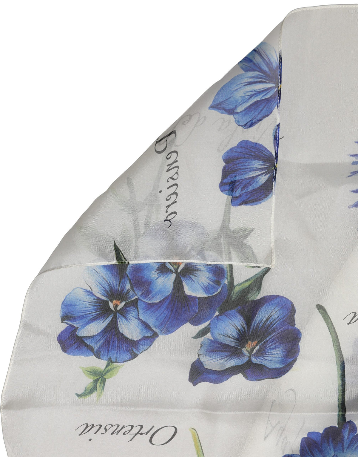 Dolce & Gabbana Stola Bianca in Chiffon di Seta con Stampa Floreale