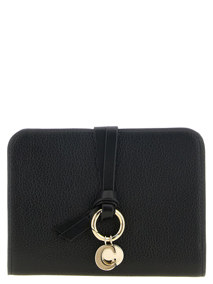 Chloé Kartenhalter aus Leder in Schwarz