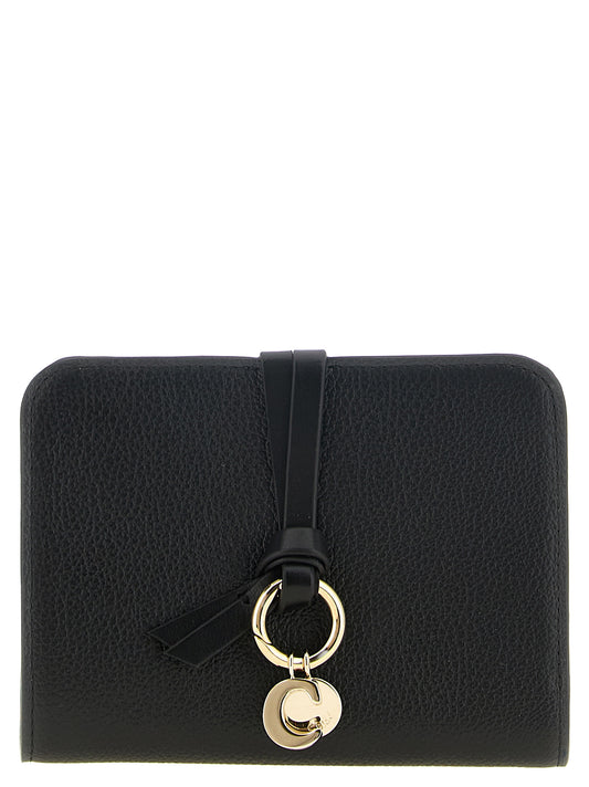 Chloé Kartenhalter aus Leder in Schwarz