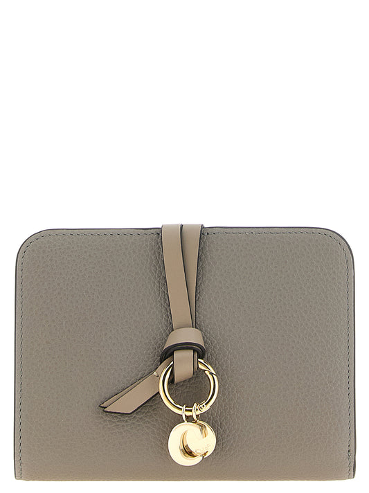 Chloé Kartenhalter aus Leder in Grau