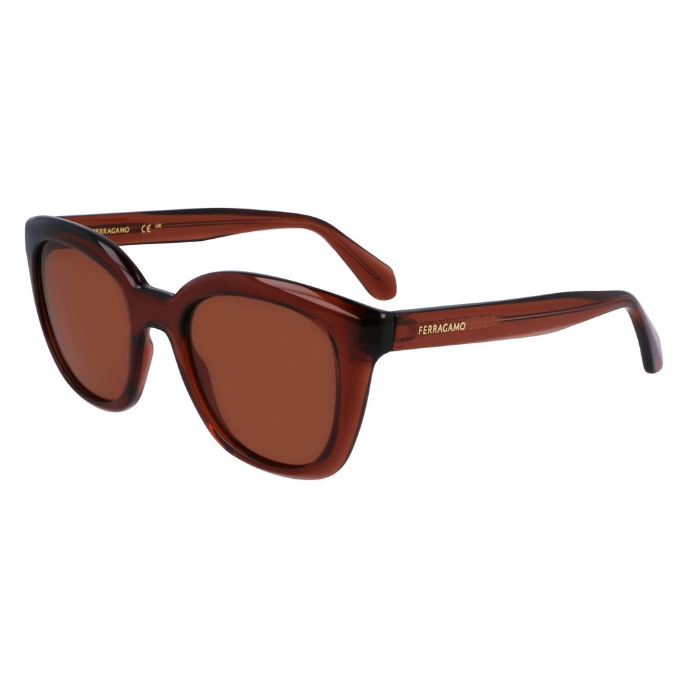 Ferragamo Braune Spritzguss-Sonnenbrille